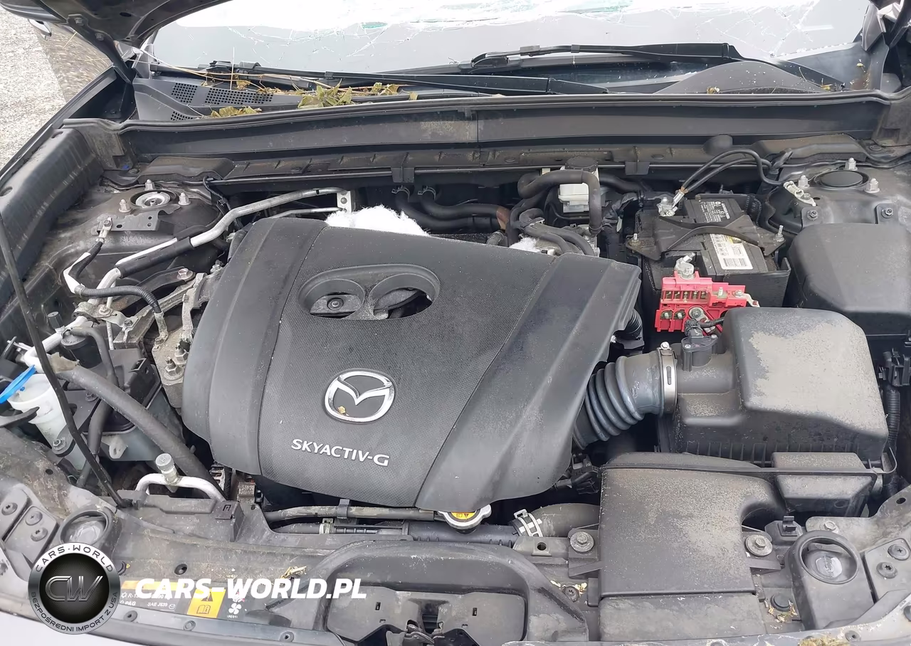 2021 Mazda Cx-30 Premium VIN:3MVDMBDL9MM210152 - 10