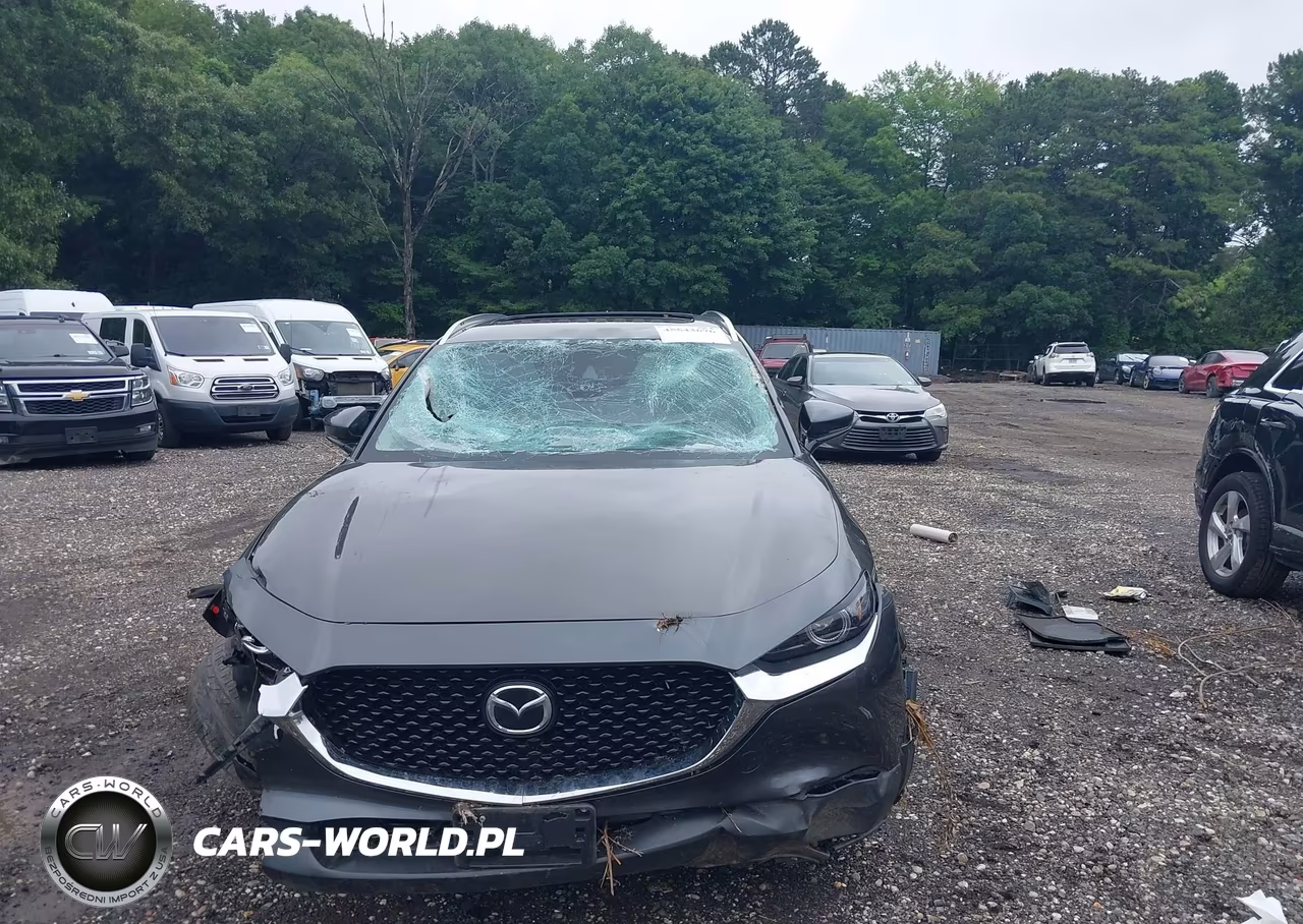 2021 Mazda Cx-30 Premium VIN:3MVDMBDL9MM210152 - 12