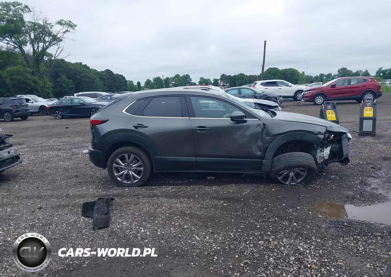 2021 Mazda Cx-30 Premium VIN:3MVDMBDL9MM210152 - 13