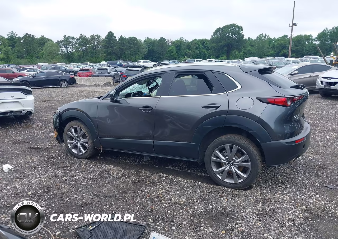 2021 Mazda Cx-30 Premium VIN:3MVDMBDL9MM210152 - 14