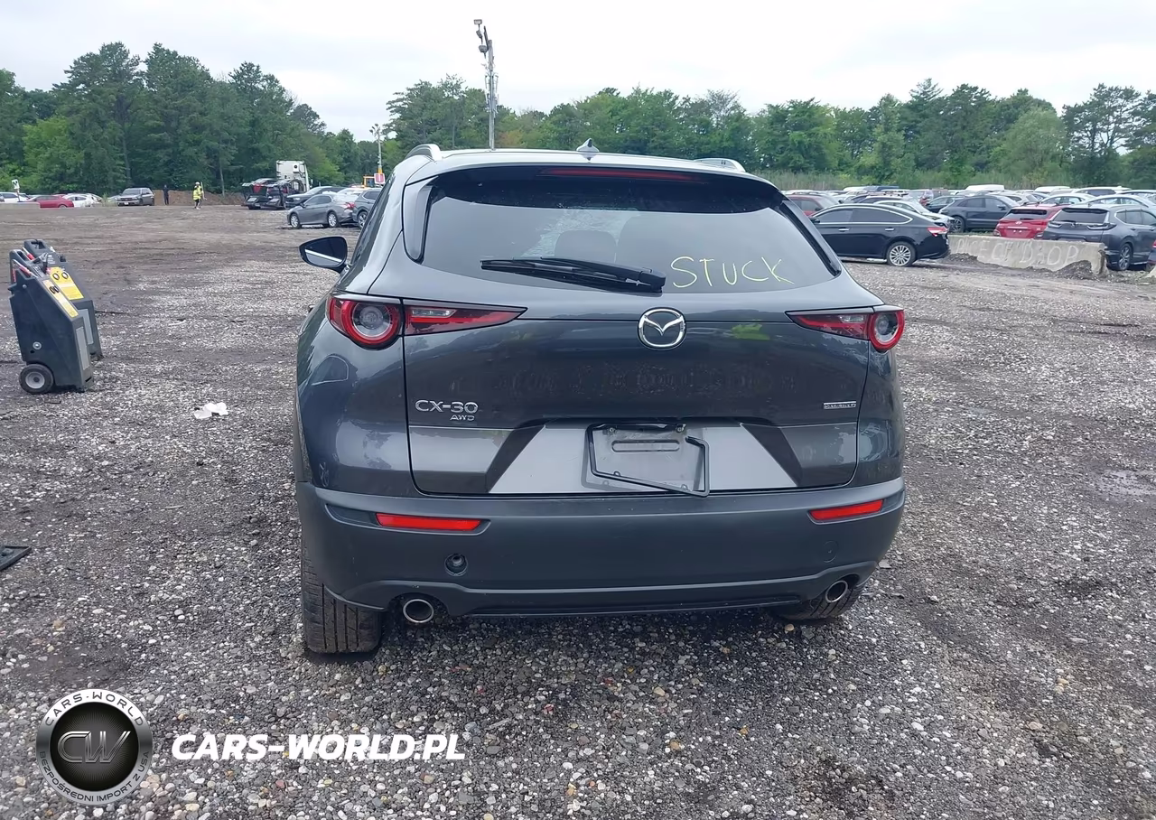 2021 Mazda Cx-30 Premium VIN:3MVDMBDL9MM210152 - 16