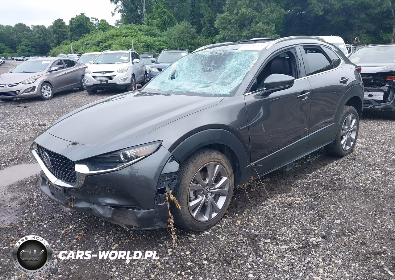 2021 Mazda Cx-30 Premium VIN:3MVDMBDL9MM210152 - 2