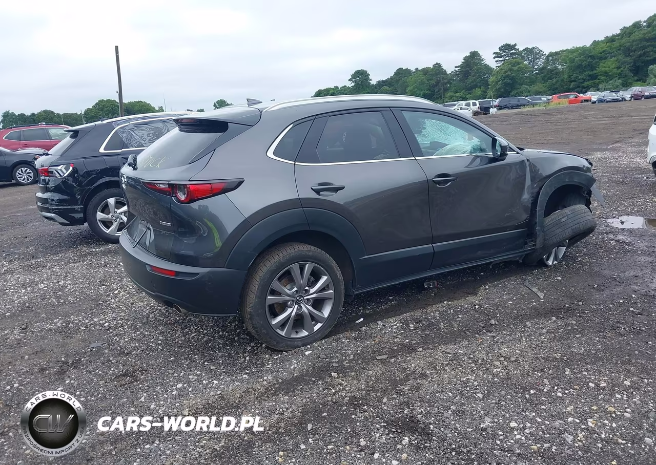 2021 Mazda Cx-30 Premium VIN:3MVDMBDL9MM210152 - 4
