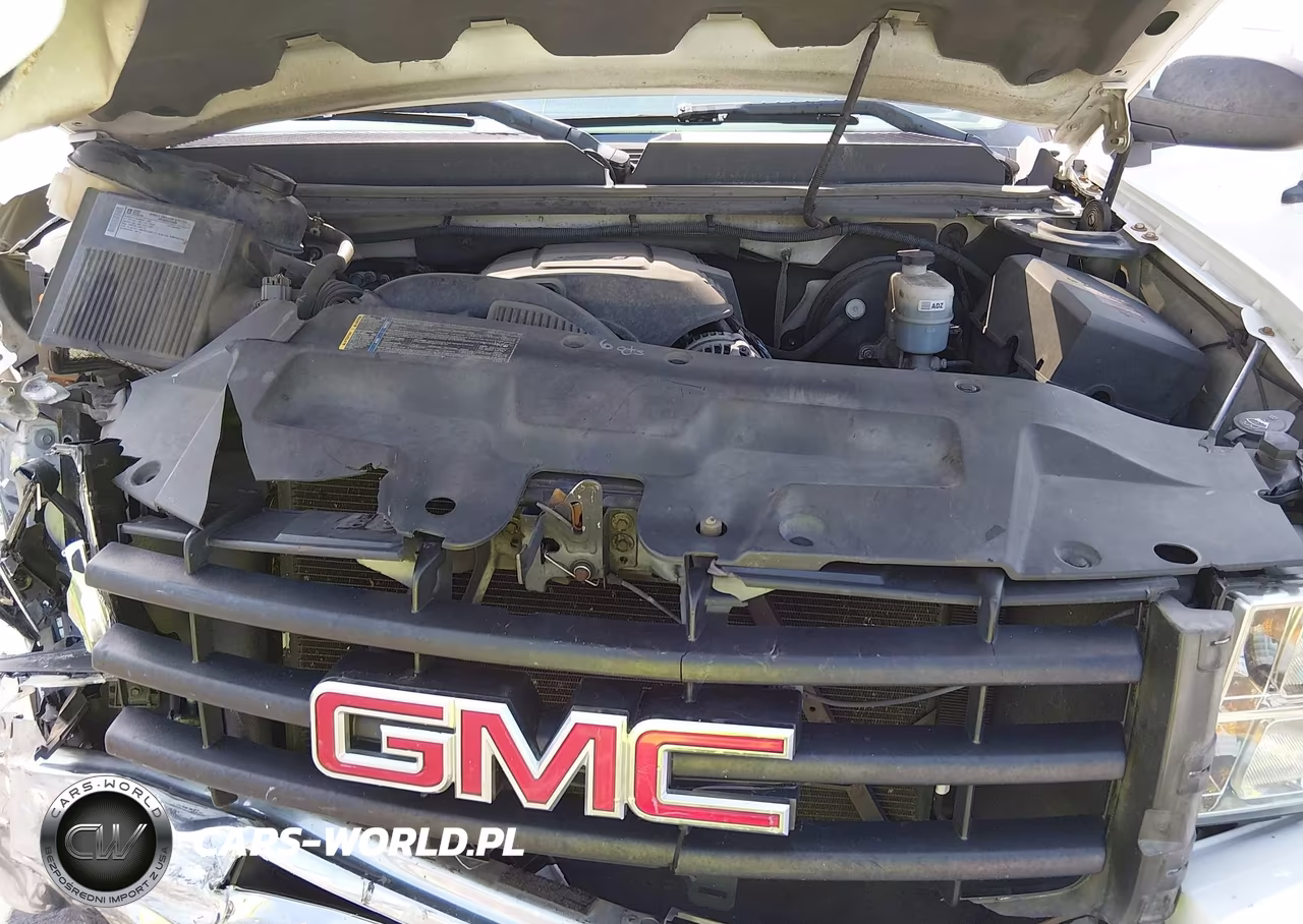 2009 GMC Sierra 1500 Work Truck VIN:1GTEC14C19Z900339 - 10