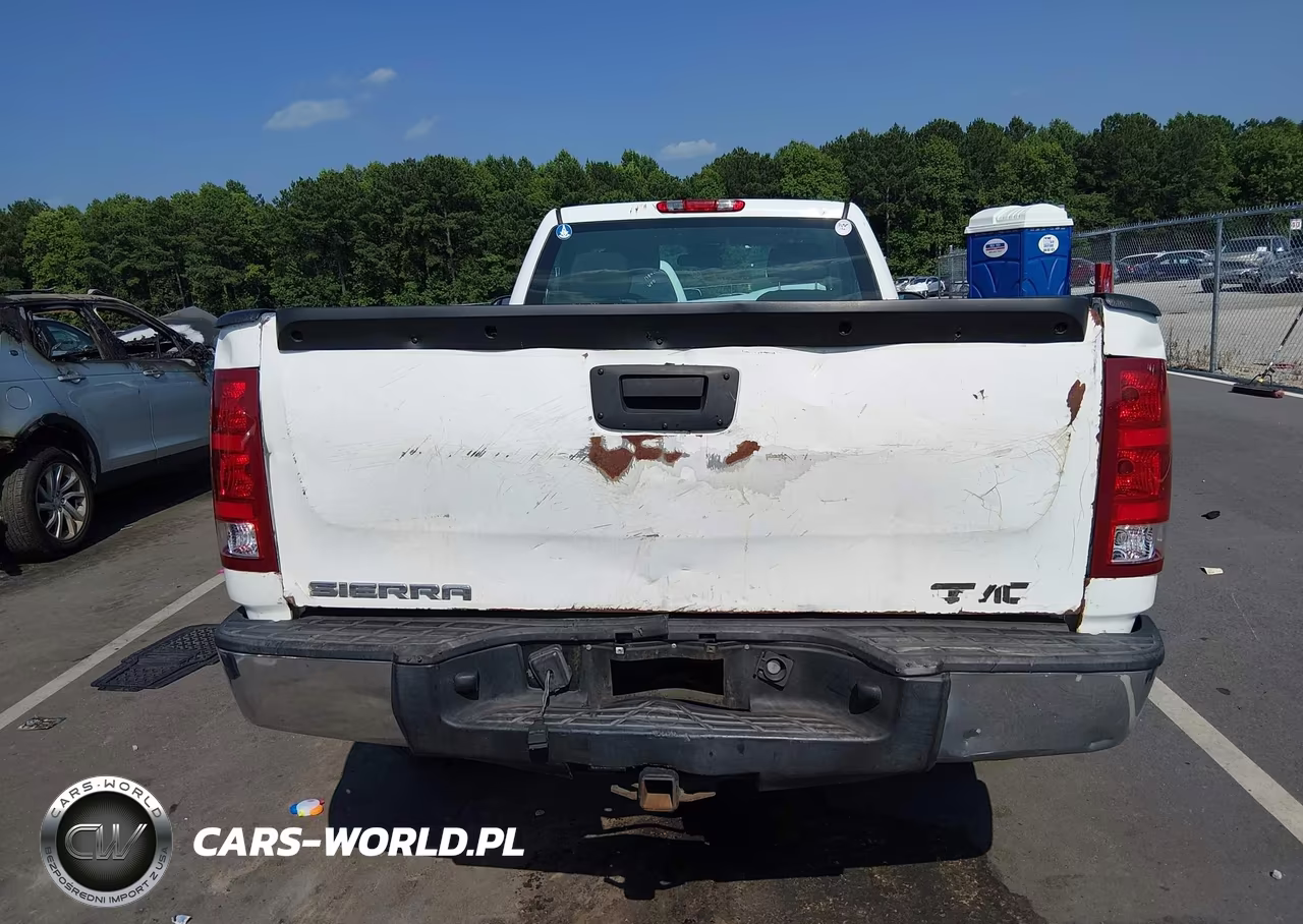 2009 GMC Sierra 1500 Work Truck VIN:1GTEC14C19Z900339 - 17
