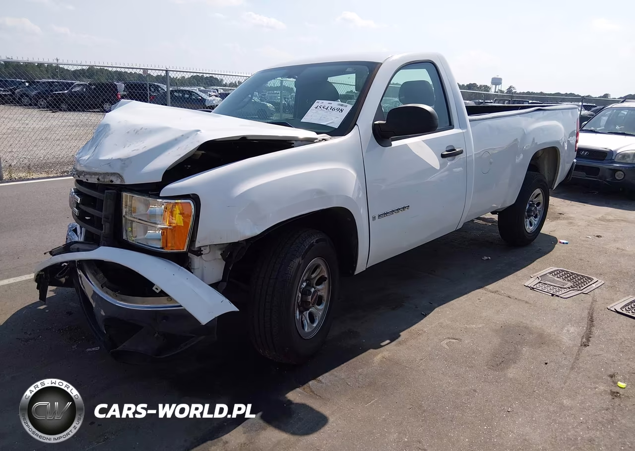 2009 GMC Sierra 1500 Work Truck VIN:1GTEC14C19Z900339 - 2