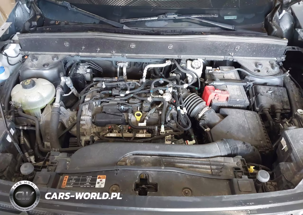 2023 Ford Bronco Sport VIN:3FMCR9A66PRD55089 - 10
