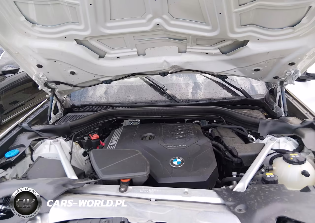 2022 BMW X3 Sdrive30I VIN:5UX43DP07N9K40427 - 10