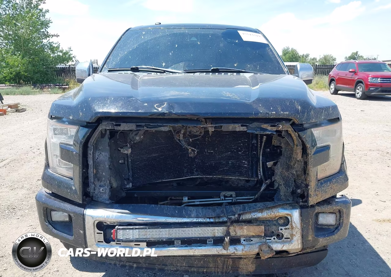 2016 Ford F-150 Platinum VIN:1FTFW1EF7GFB01894 - 13