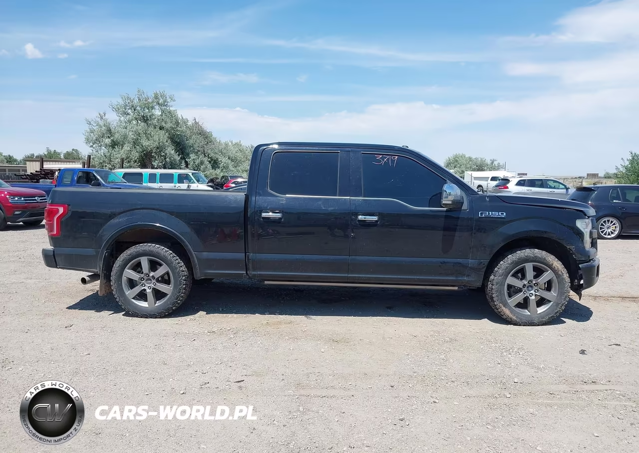 2016 Ford F-150 Platinum VIN:1FTFW1EF7GFB01894 - 14