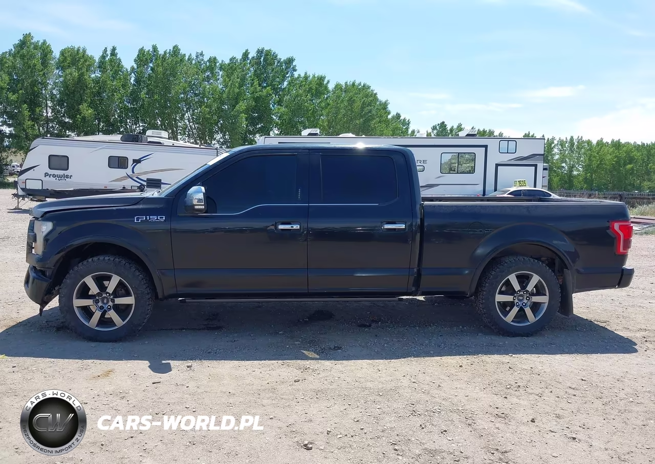 2016 Ford F-150 Platinum VIN:1FTFW1EF7GFB01894 - 15