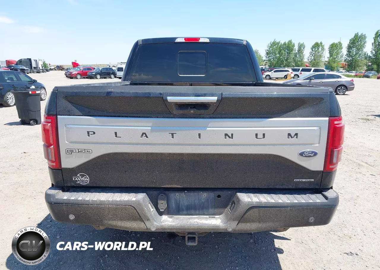 2016 Ford F-150 Platinum VIN:1FTFW1EF7GFB01894 - 17