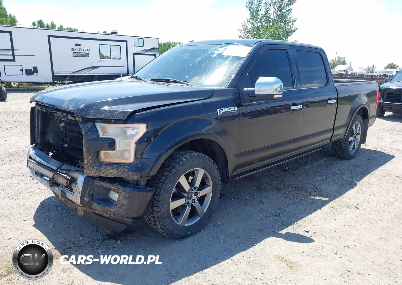 2016 Ford F-150 Platinum VIN:1FTFW1EF7GFB01894 - 2