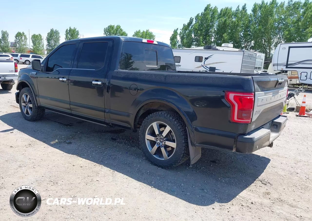 2016 Ford F-150 Platinum VIN:1FTFW1EF7GFB01894 - 3