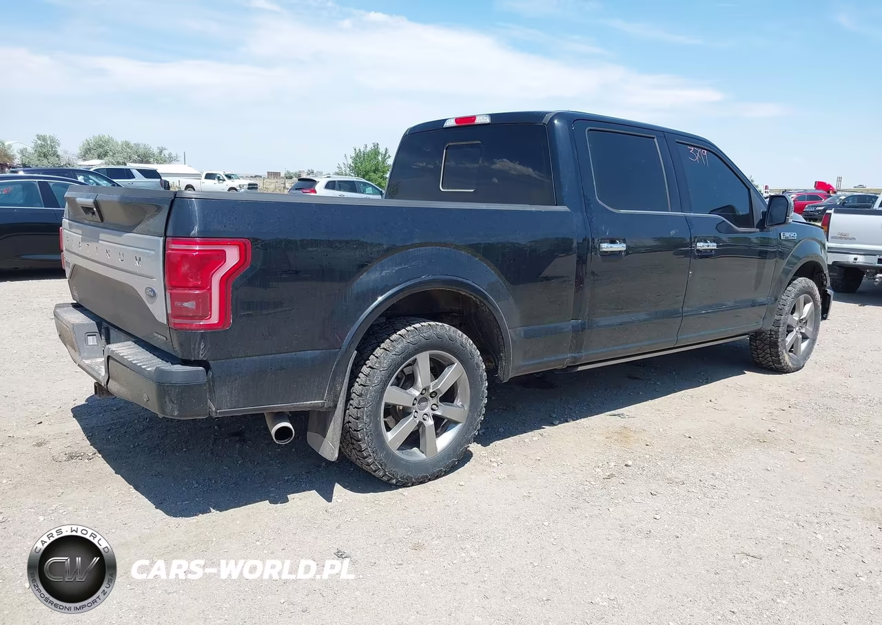 2016 Ford F-150 Platinum VIN:1FTFW1EF7GFB01894 - 4