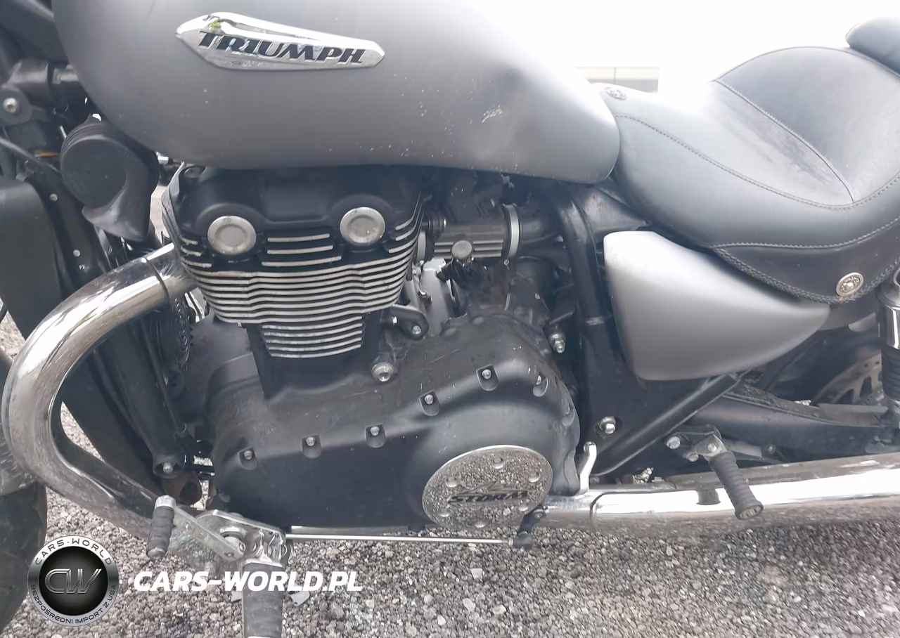 2014 Triumph Motorcycle Thunderbird Storm Abs VIN:SMTB03WF4EJ609777 - 9
