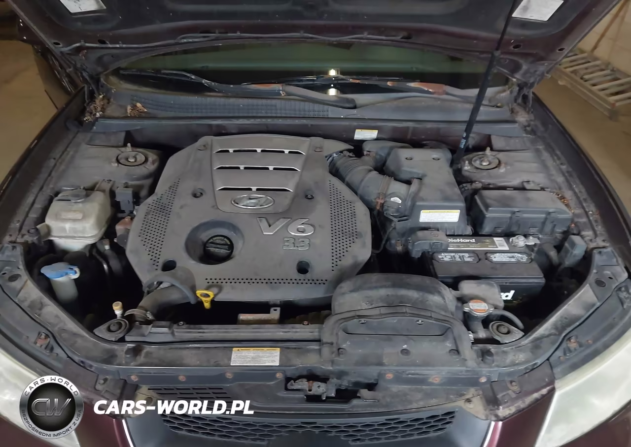 2006 Hyundai Sonata Gls V6-Lx V6 VIN:5NPEU46F66H059580 - 10