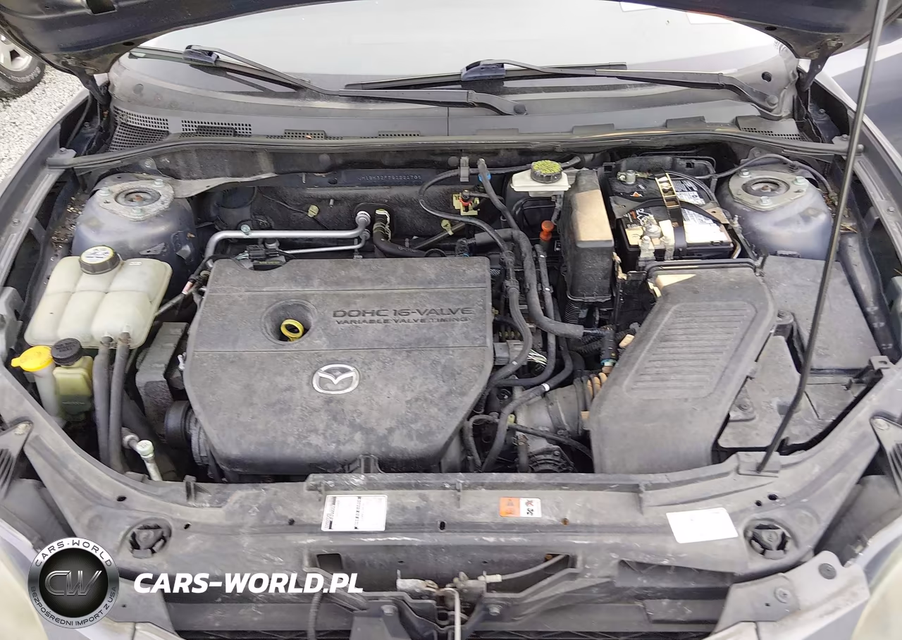 2009 Mazda Mazda3 I VIN:JM1BK32F791221706 - 10