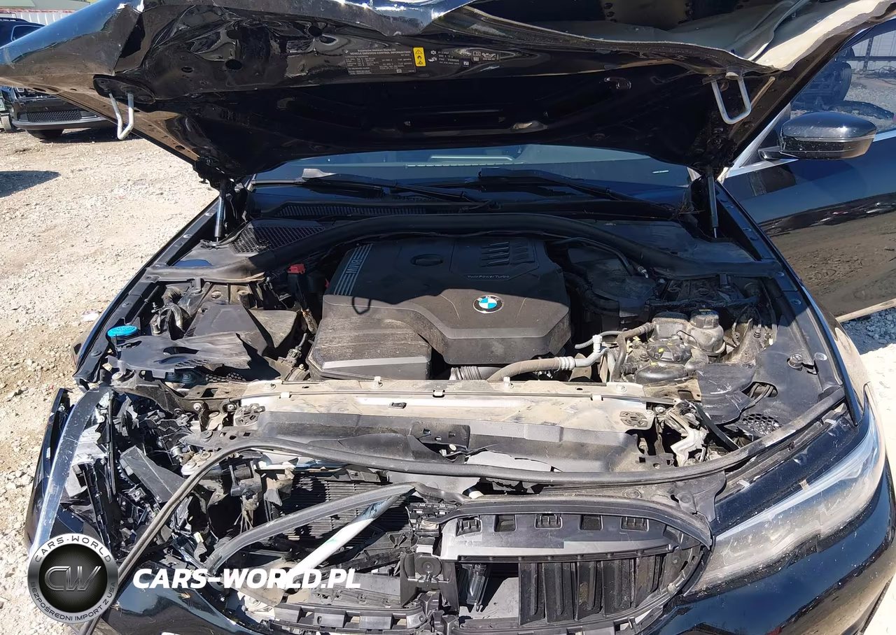2020 BMW 330I VIN:3MW5R1J05L8B03860 - 10