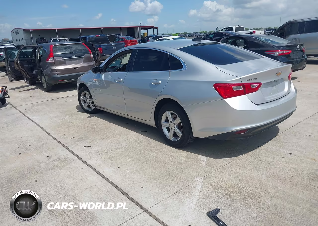 2019 Chevrolet Malibu 1Ls VIN:1G1ZB5ST6KF228132 - 3