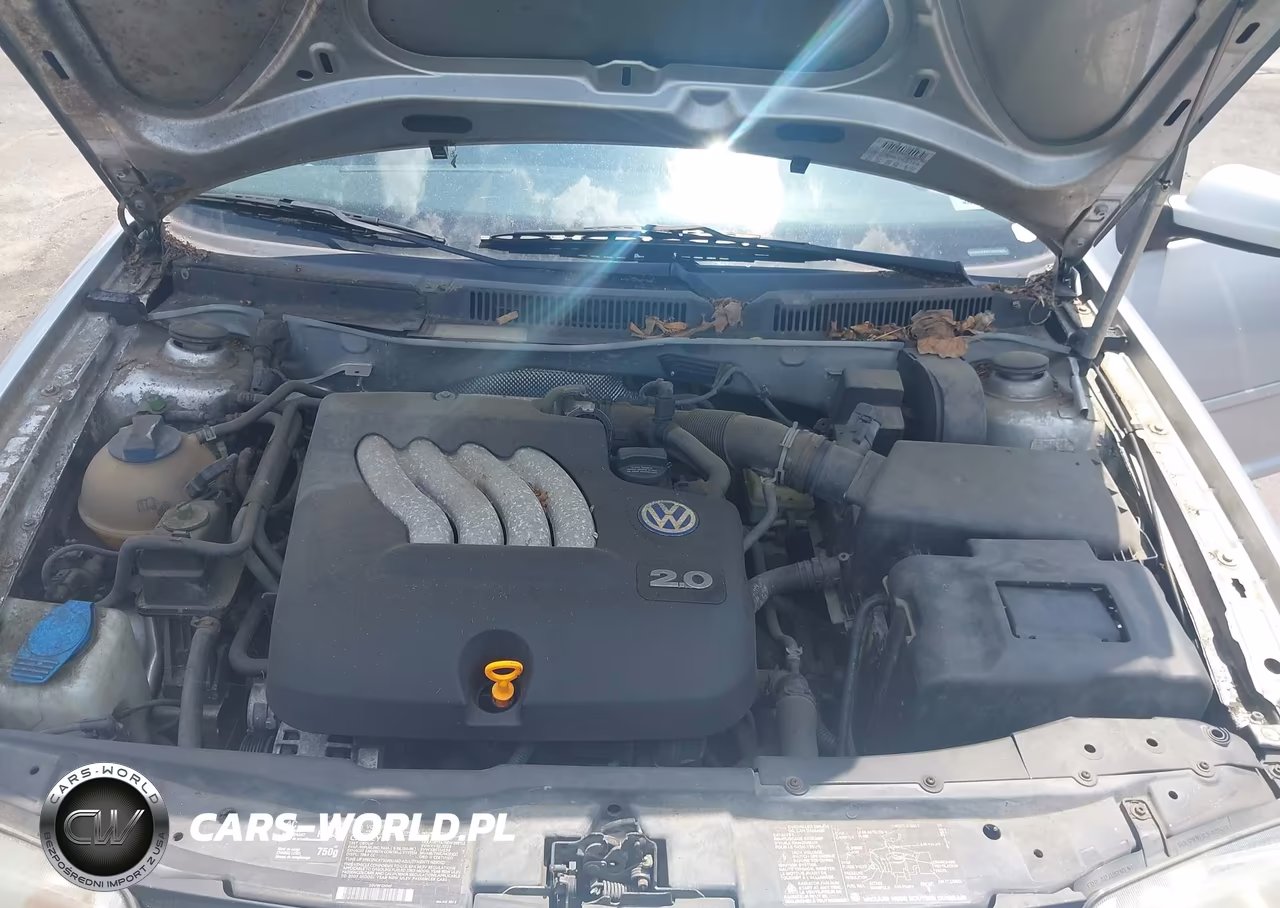 2003 Volkswagen Jetta Gl VIN:3VWRK69M43M009003 - 10