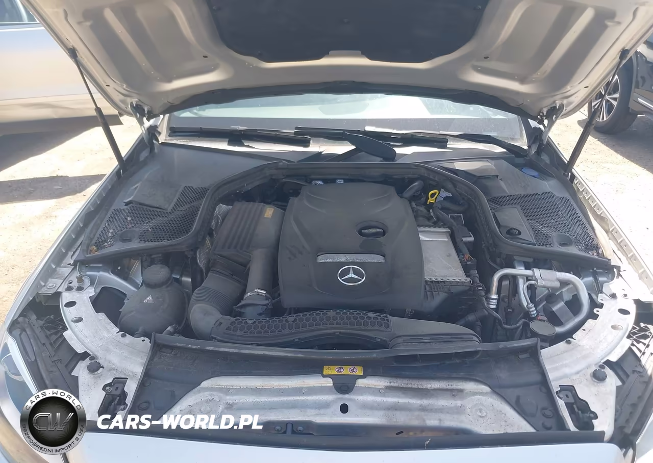 2018 Mercedes-Benz C 300 4Matic VIN:55SWF4KB9JU261563 - 10