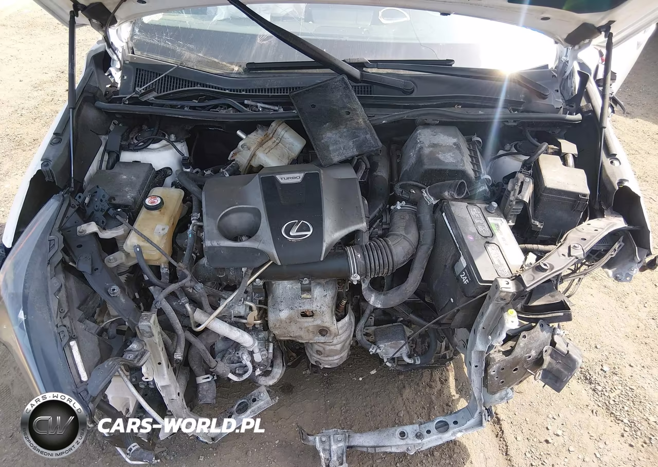 2020 Lexus Nx 300 VIN:JTJDARBZ9L5011467 - 10
