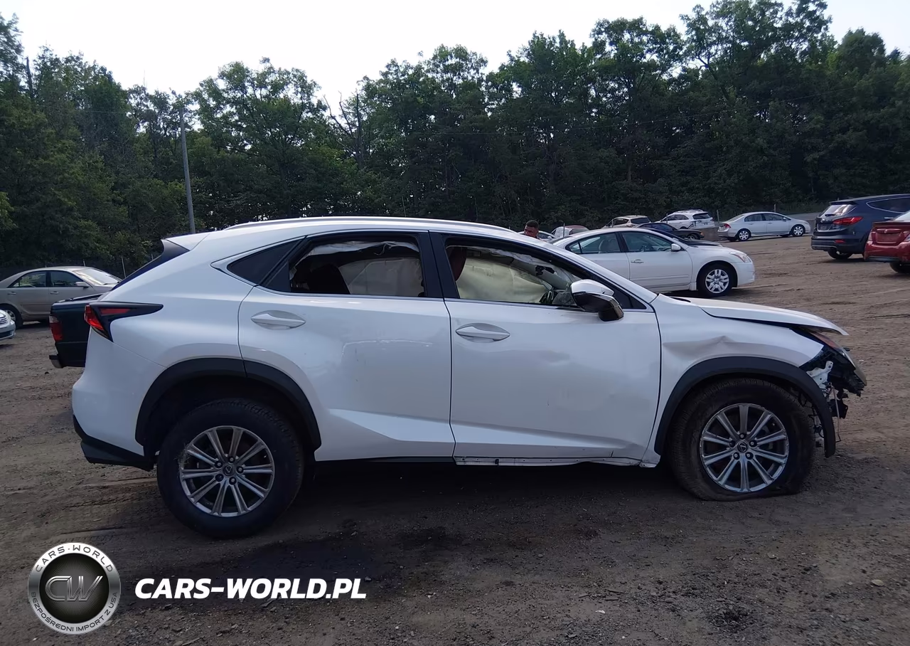 2020 Lexus Nx 300 VIN:JTJDARBZ9L5011467 - 12