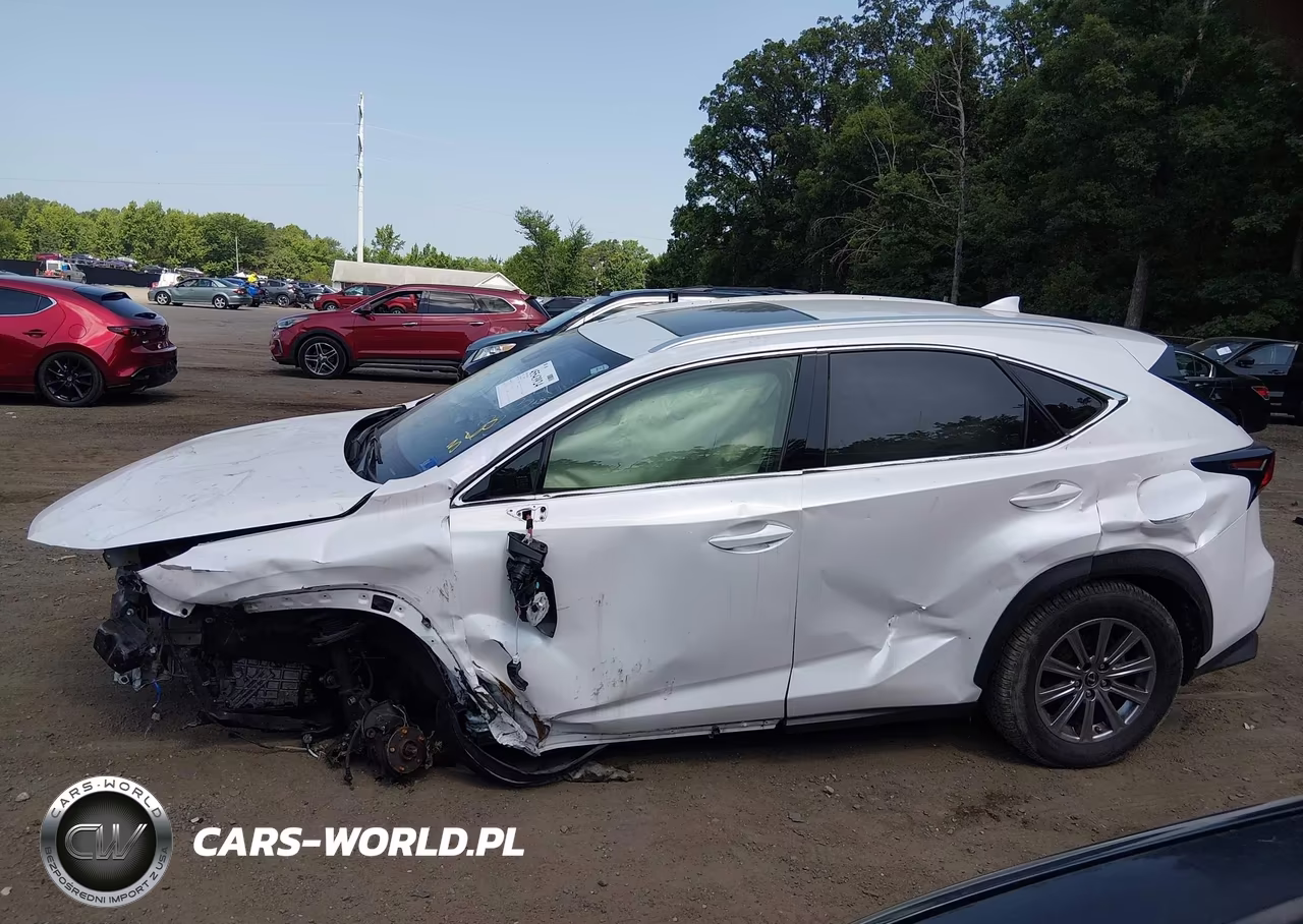 2020 Lexus Nx 300 VIN:JTJDARBZ9L5011467 - 13
