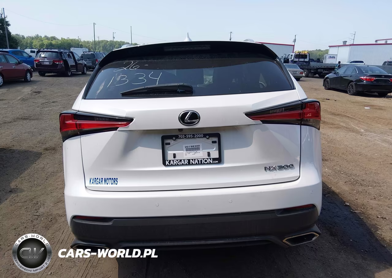 2020 Lexus Nx 300 VIN:JTJDARBZ9L5011467 - 15