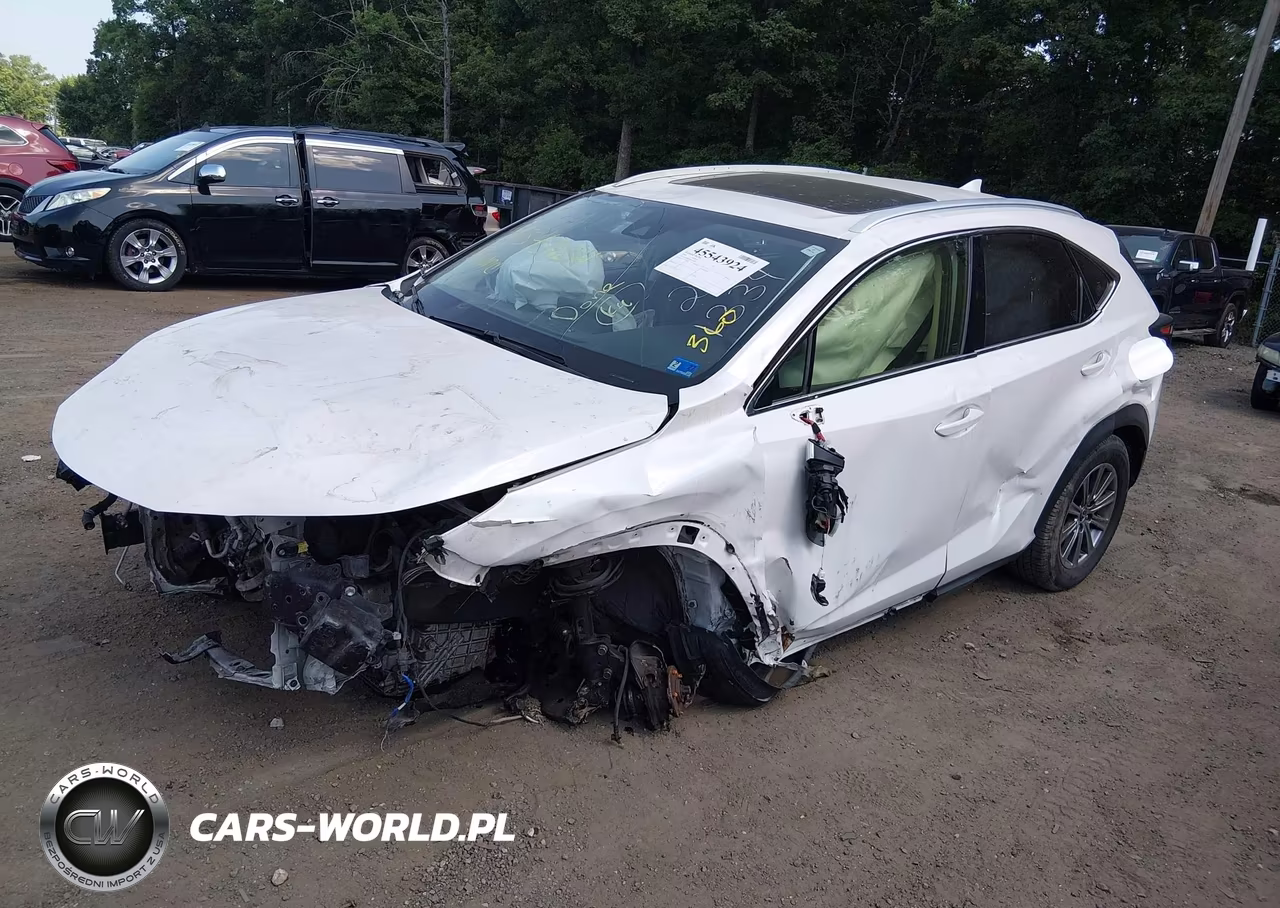 2020 Lexus Nx 300 VIN:JTJDARBZ9L5011467 - 2