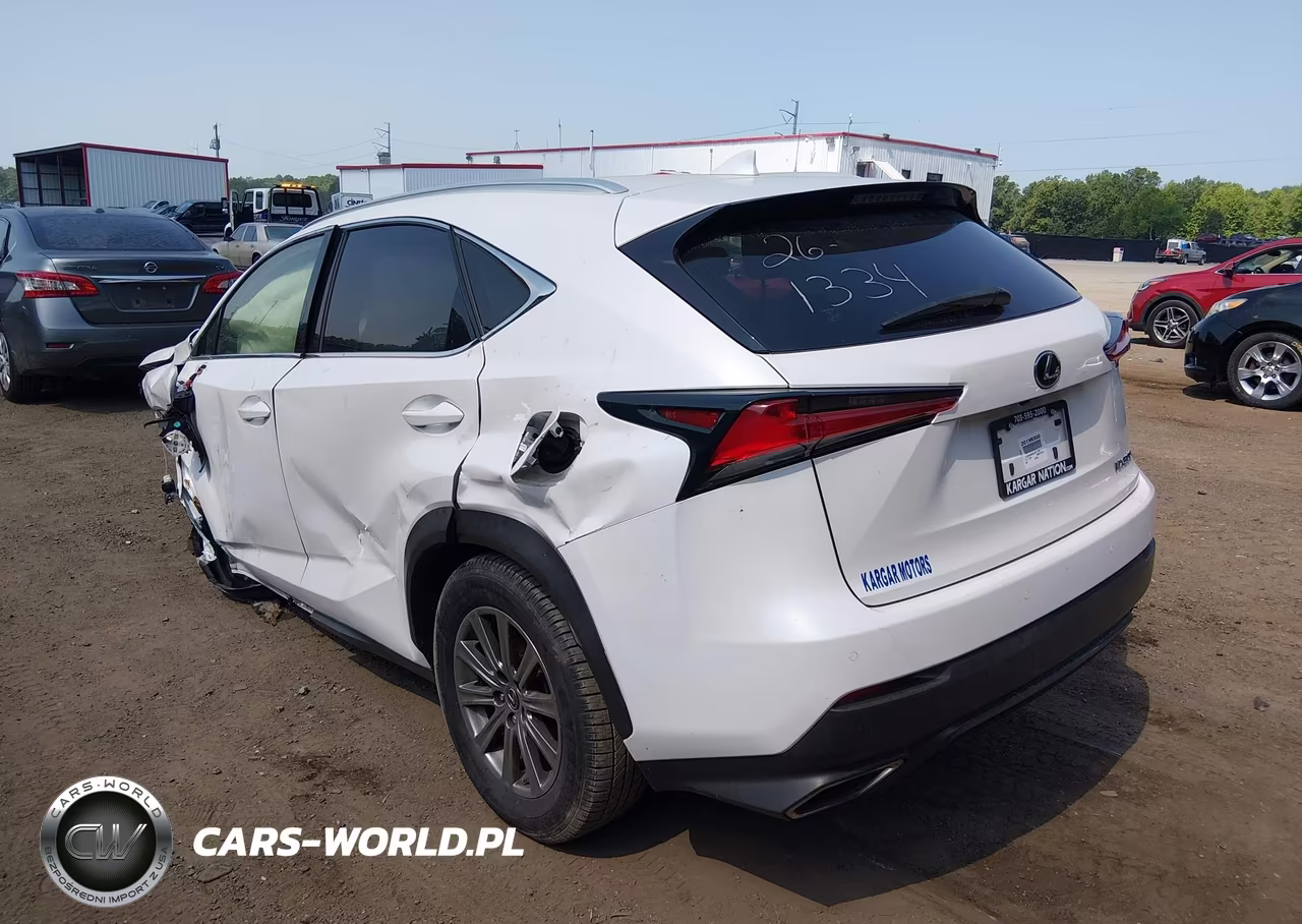 2020 Lexus Nx 300 VIN:JTJDARBZ9L5011467 - 3