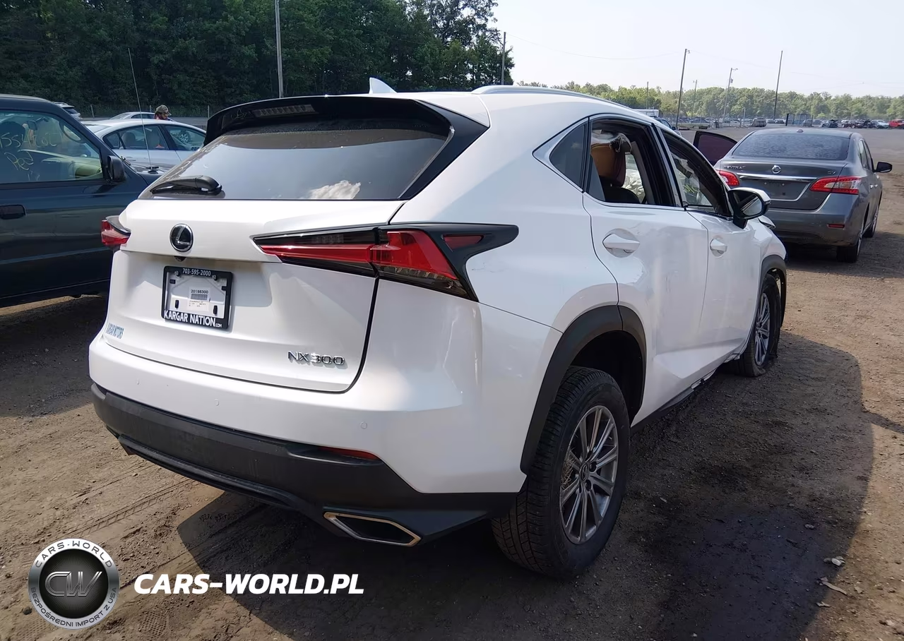 2020 Lexus Nx 300 VIN:JTJDARBZ9L5011467 - 4