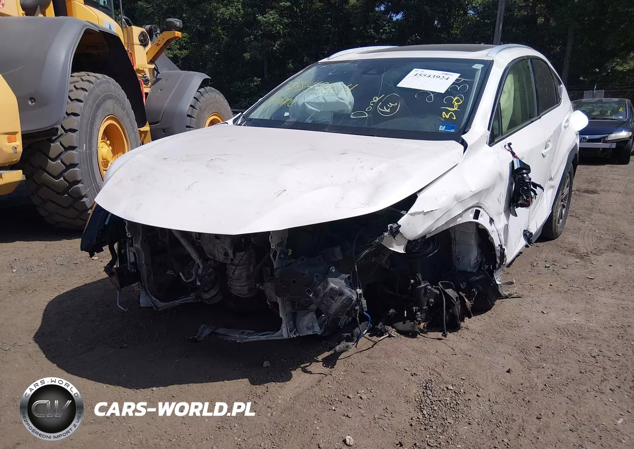 2020 Lexus Nx 300 VIN:JTJDARBZ9L5011467 - 6