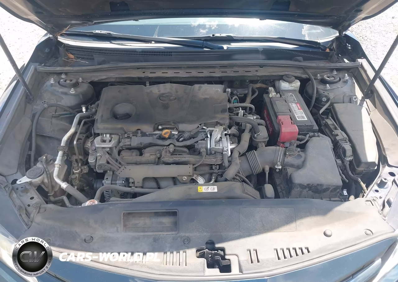 2019 Toyota Camry Le VIN:4T1B11HK8KU825597 - 10