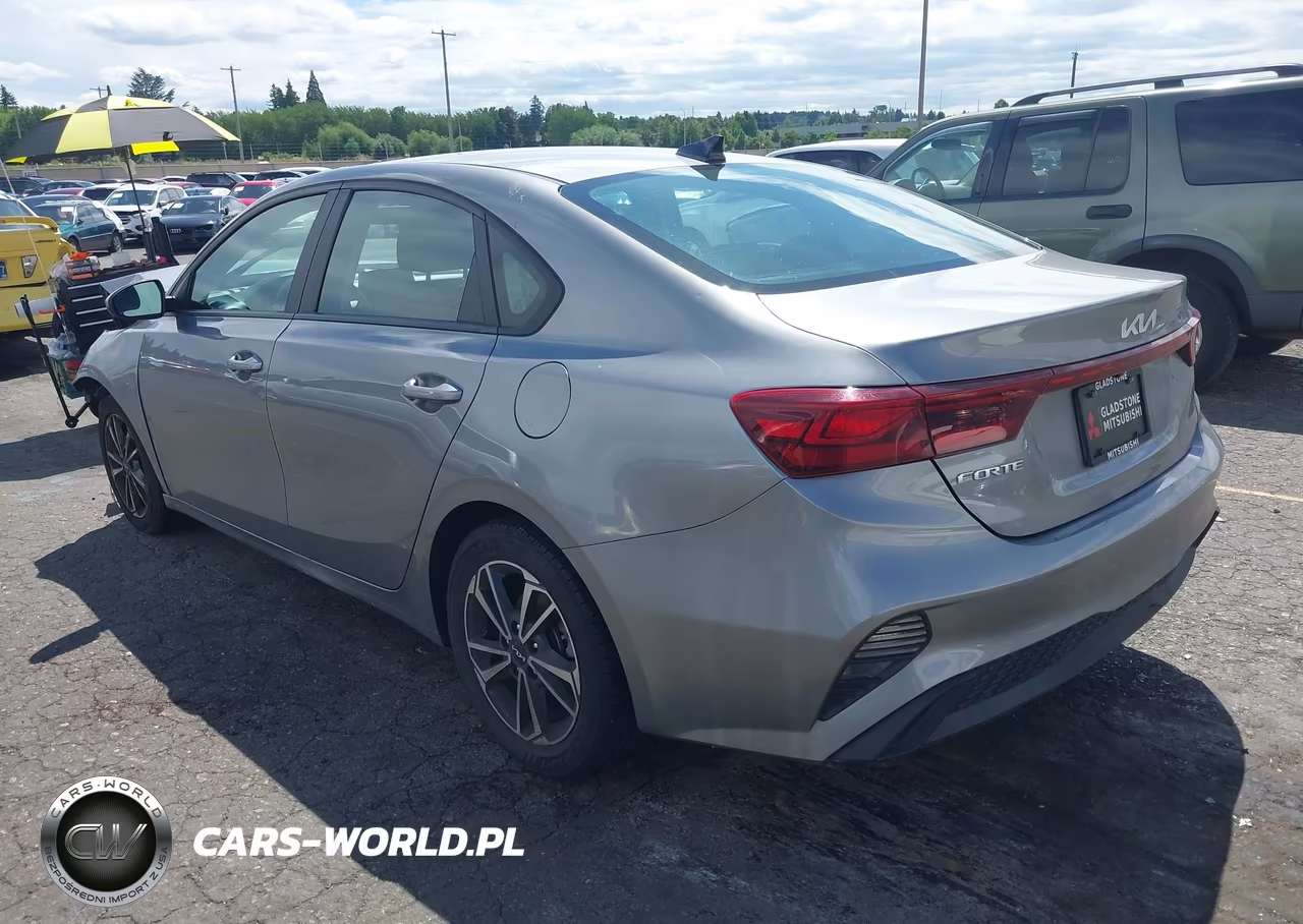 2022 Kia Forte Lxs VIN:3KPF24AD9NE454789 - 3