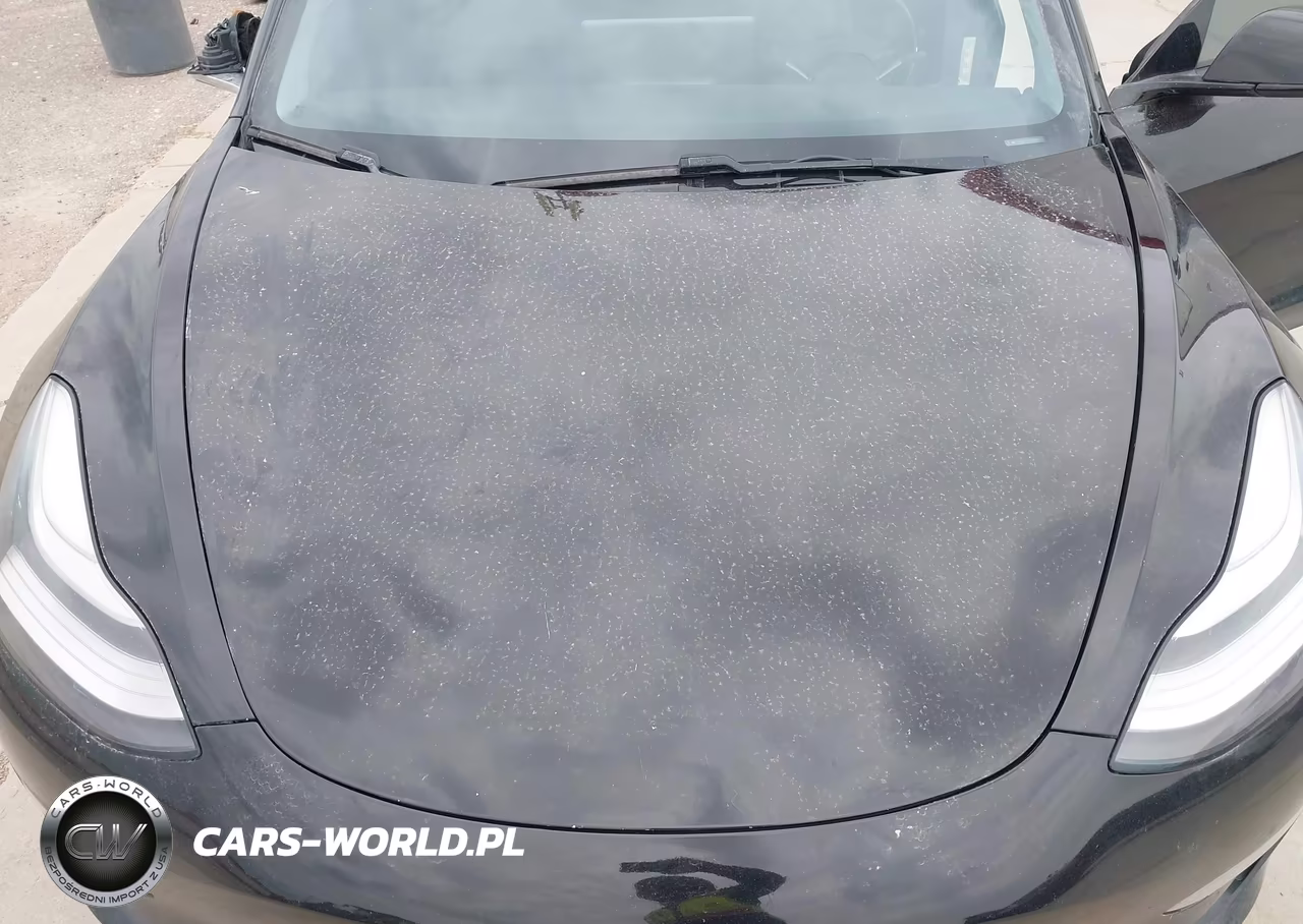 2019 Tesla Model 3 Long Range-Mid Range-Standard Range-Standard Range Plus VIN:5YJ3E1EA0KF306027 - 10