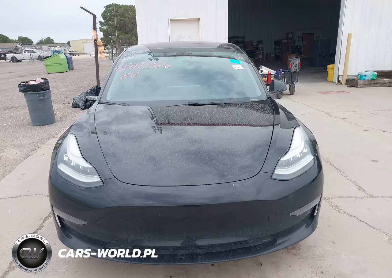 2019 Tesla Model 3 Long Range-Mid Range-Standard Range-Standard Range Plus VIN:5YJ3E1EA0KF306027 - 12
