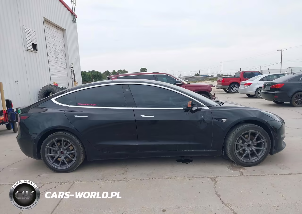 2019 Tesla Model 3 Long Range-Mid Range-Standard Range-Standard Range Plus VIN:5YJ3E1EA0KF306027 - 13