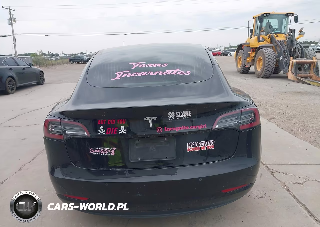 2019 Tesla Model 3 Long Range-Mid Range-Standard Range-Standard Range Plus VIN:5YJ3E1EA0KF306027 - 16