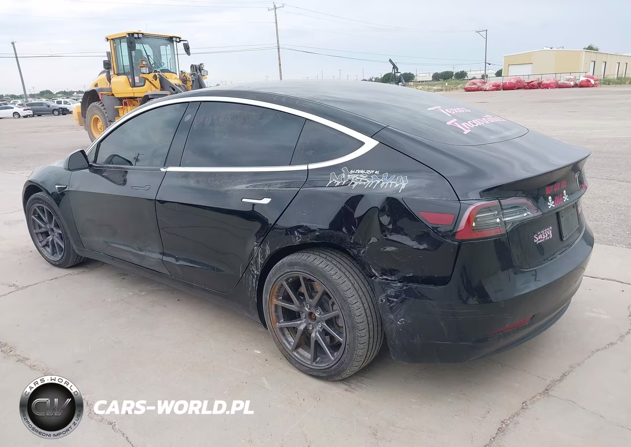 2019 Tesla Model 3 Long Range-Mid Range-Standard Range-Standard Range Plus VIN:5YJ3E1EA0KF306027 - 3