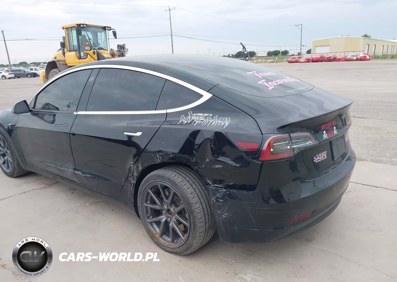 2019 Tesla Model 3 Long Range-Mid Range-Standard Range-Standard Range Plus VIN:5YJ3E1EA0KF306027 - 6