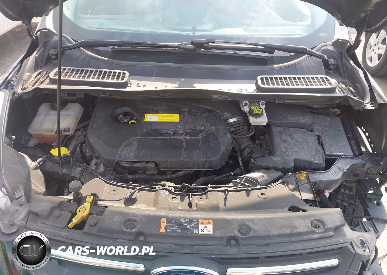 2016 Ford Escape Se VIN:1FMCU0GXXGUA08013 - 10