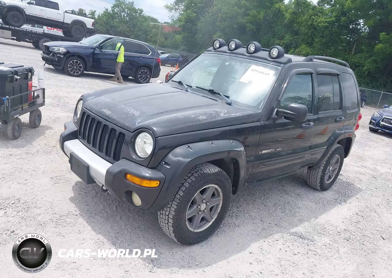 2003 Jeep Liberty Renegade VIN:1J8GL38K23W546659 - 2