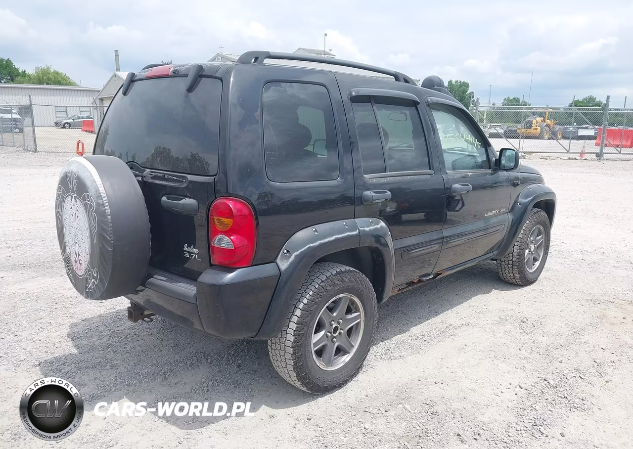 2003 Jeep Liberty Renegade VIN:1J8GL38K23W546659 - 4