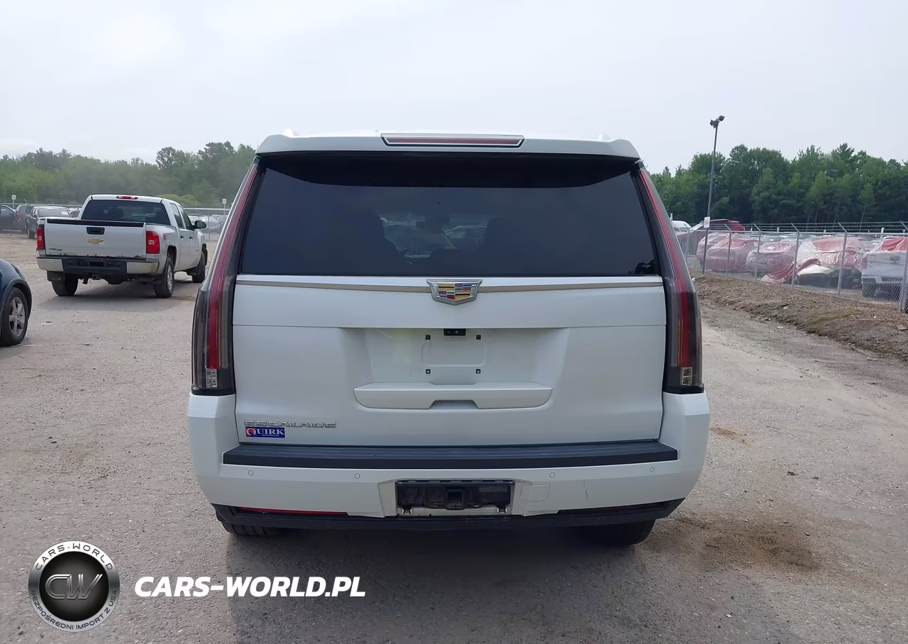 2017 Cadillac Escalade Luxury VIN:1GYS4BKJXHR214705 - 16
