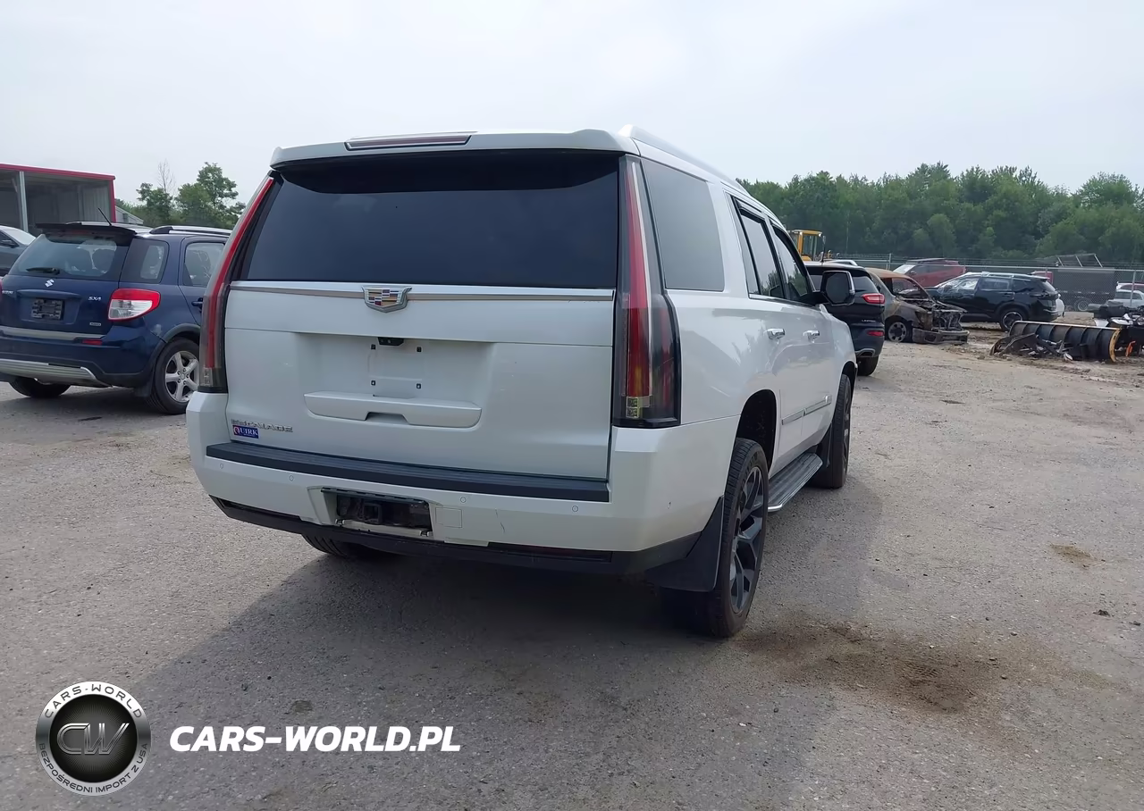 2017 Cadillac Escalade Luxury VIN:1GYS4BKJXHR214705 - 4