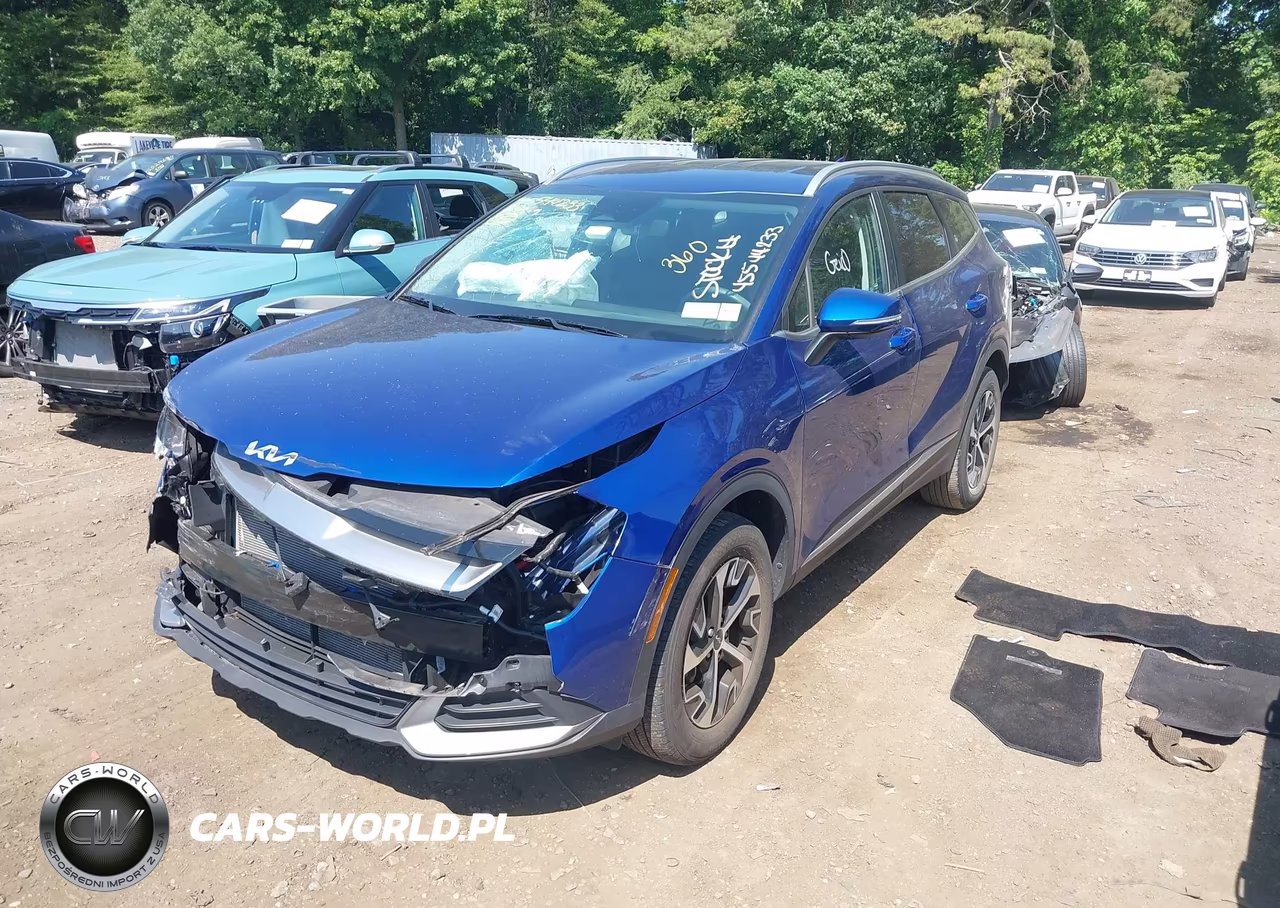 2024 Kia Sportage Ex VIN:5XYK3CDF4RG188500 - 2