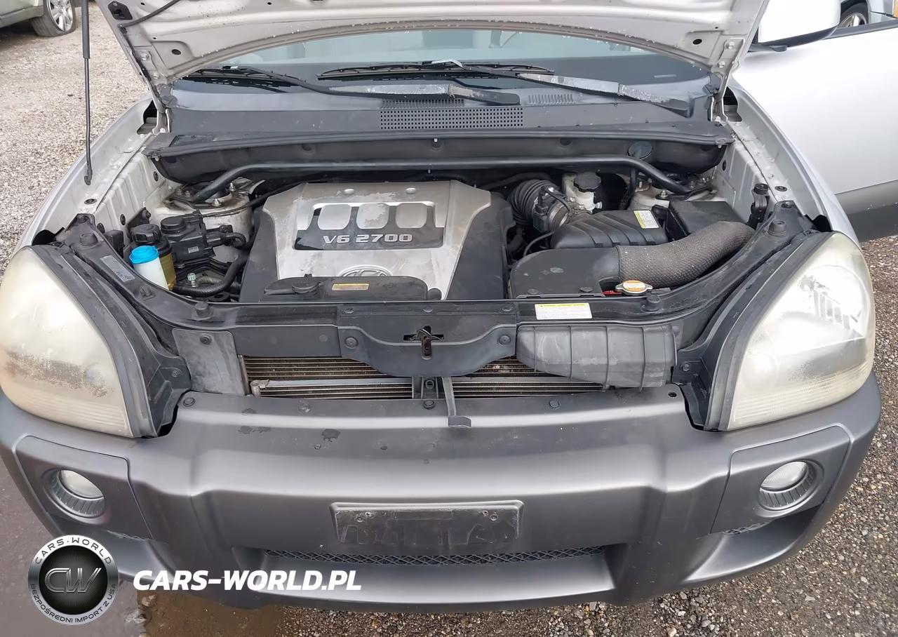 2005 Hyundai Tucson Gls-Lx VIN:KM8JN72D85U067830 - 10