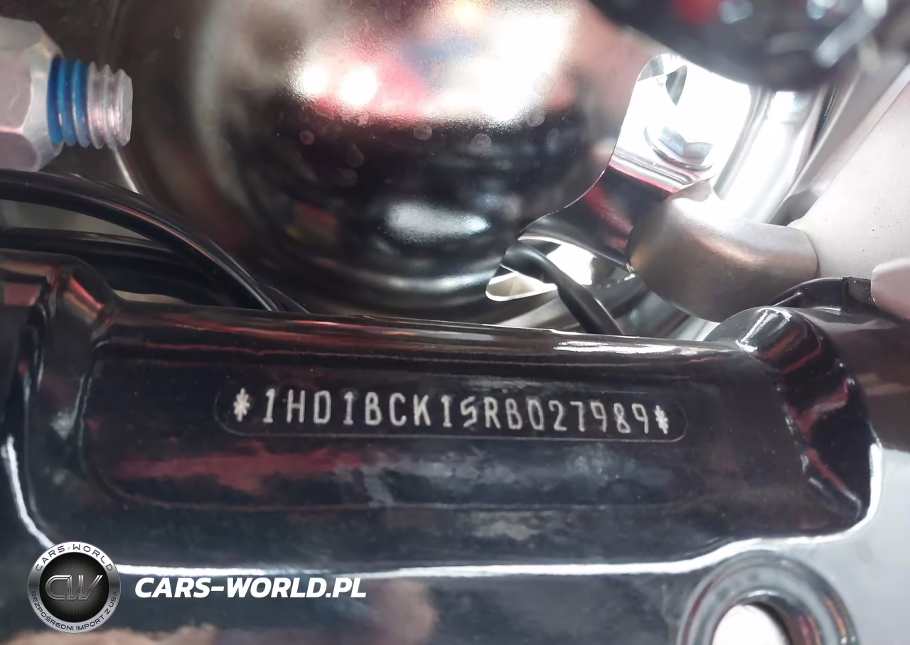 2024 Harley-Davidson Fli VIN:1HD1BCK15RB027989 - 10